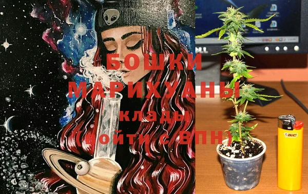 PSILOCYBIN Липки