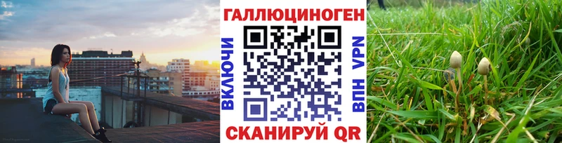 Псилоцибиновые грибы прущие грибы  где найти   Кукмор 