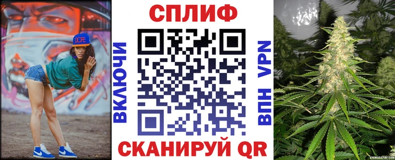 Шишки марихуана планчик  купить наркотики сайты  Кукмор 